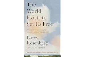 The World Exists to Set Us Free: Straight-Up Dharma for Living a Life of Awareness