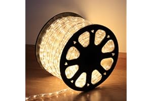 Czarniozk LED Rope Lights for Outside,100FT Waterproof LED Strip Lights,1080 LEDs 110V 8 Modes Connectable and Flexible Tube Lights for Garden Party Christmas, Outdoor Indoor Decoration(Warm White)