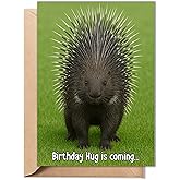 Funny Birthday Card – “Birthday Hug Is Coming” – 5x7 Inch Folded Greeting Card with Envelope – Cute and Humorous Porcupine Gift for Friends, Men, Women, Him, Her, Dad, Mom, Coworker, Grandma, Grandpa – Inside Printed with Message - Gift for 30th, 40th, 50th, 60th, 70th, 80th, 90th, 100th Birthday