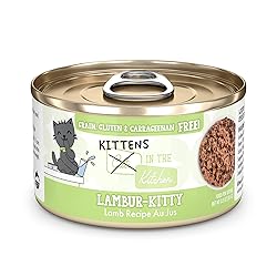 Weruva Cats in The Kitchen