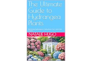 The Ultimate Guide to Hydrangea Plants