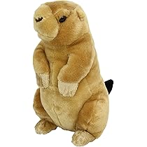 stuffed prairie dog
