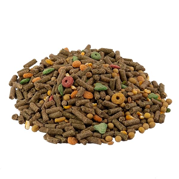WILD HARVEST ADVANCED NUTRITION GUINEA PIG, COMPLETE AND BALANCED DIET, 8 POUNDS