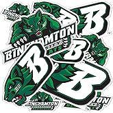 Desert Cactus Binghamton University Sticker Bearcats SUNY Vinyl Decals Laptop Water Bottle Car Scrapbook 13.46x10.94 Sheet T1 (Type 1-1)