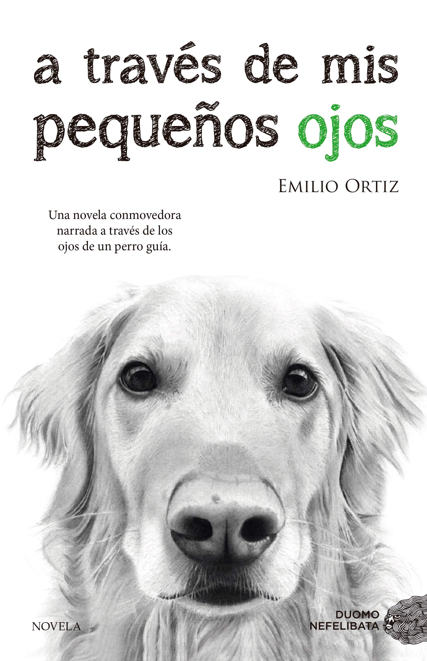 Reseña del libro A través de mis pequeños ojos