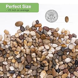 Pulovin 2.5 lbs Drainage Rocks for Potted