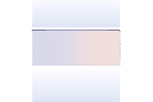 CAROUSELCHECKS 500 Blank Laser/Computer Checks Middle Style (Blue Red)