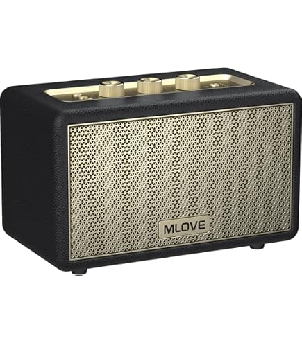 Amazon.com: Fender 6960200001 Monterey Bluetooth Speaker, Na, Ph