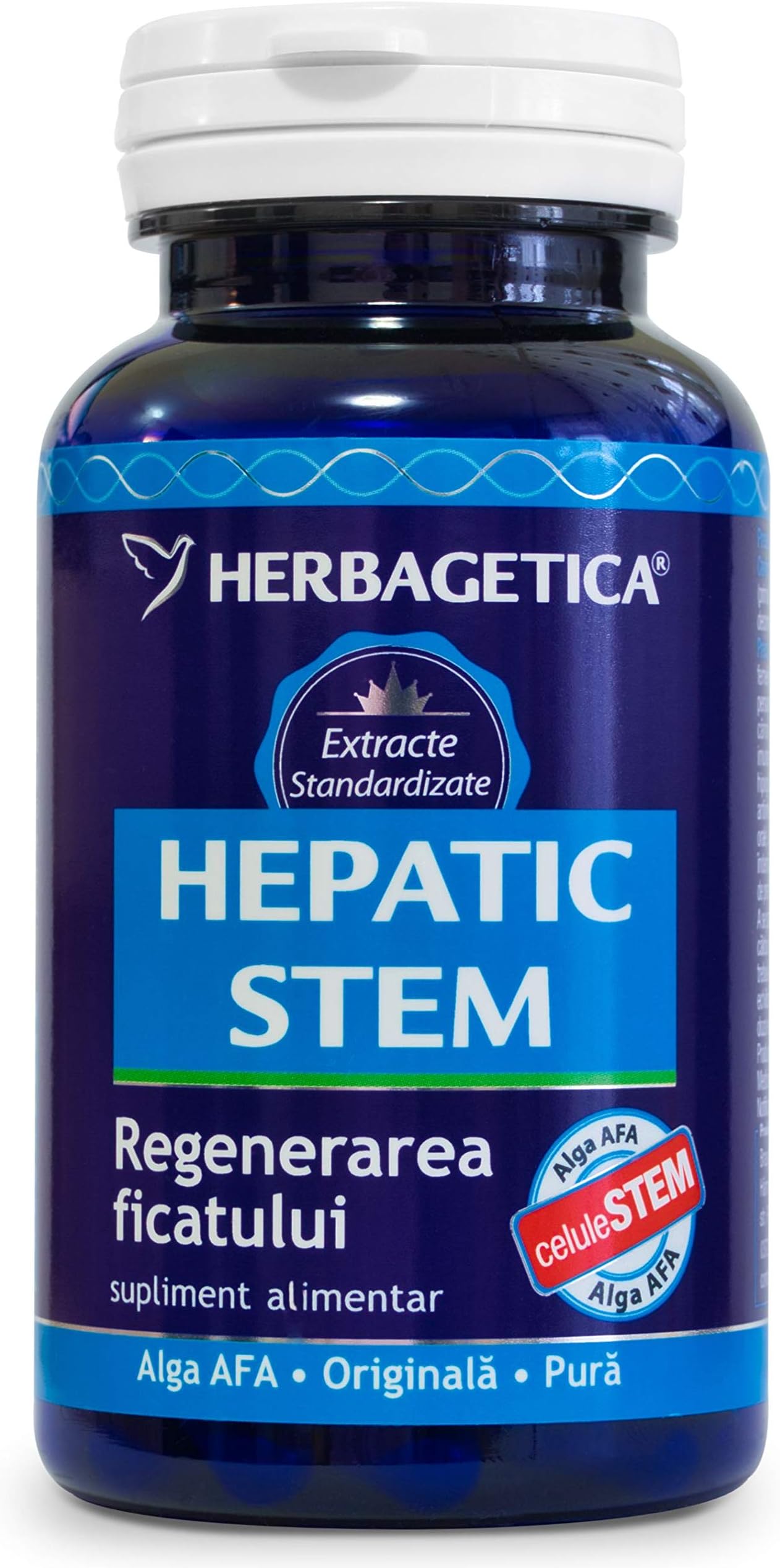 HEPATIC STEM 60 Support for The Liver