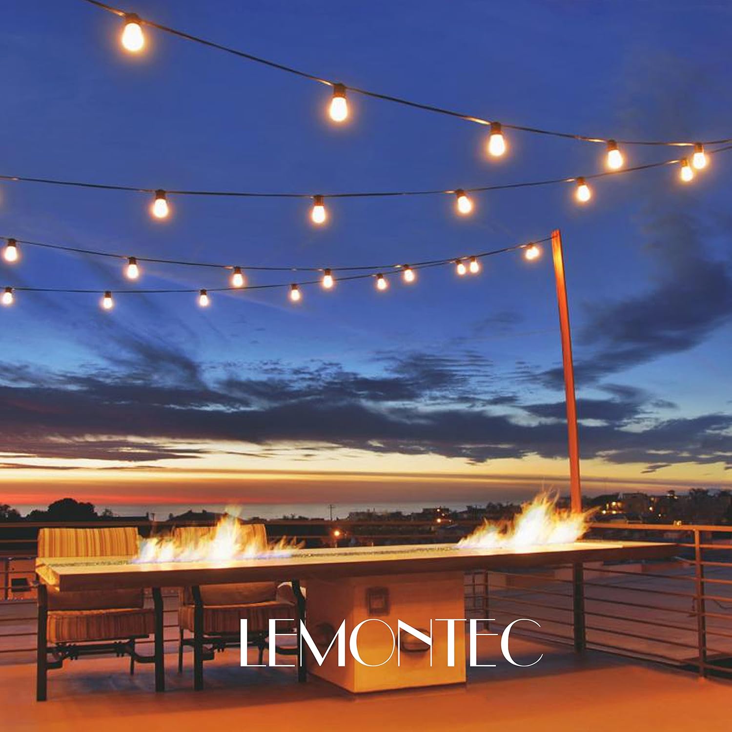 Lemontec Commercial Grade Outdoor String Lights with 15 Hanging Sockets - 48 Ft Black Weatherproof Cord Weatherproof Strand for Patio Garden Porch Backyard Party Deck Yard – S14 Black - - 