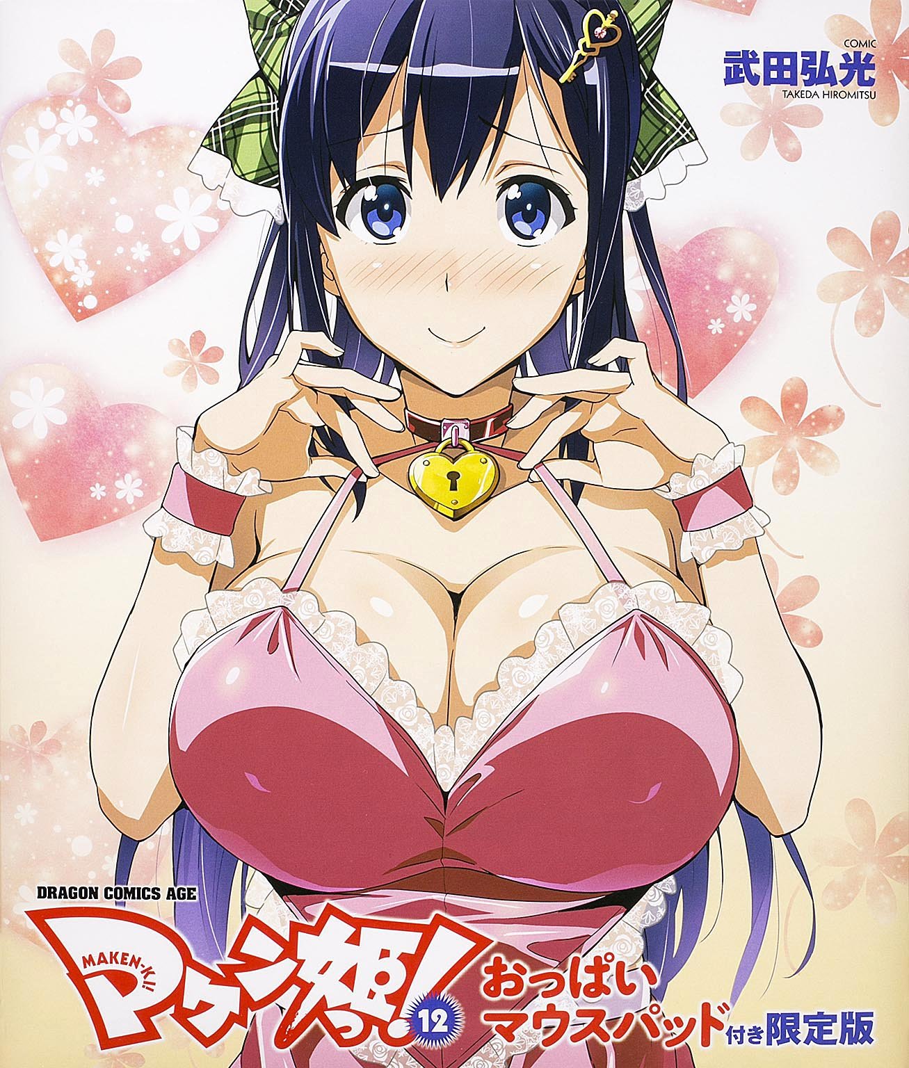 マケン姫っ Maken Ki 12 おっぱいマウスパッド付き限定版 ドラゴンコミックスエイジ 武田 弘光 本 通販 Amazon