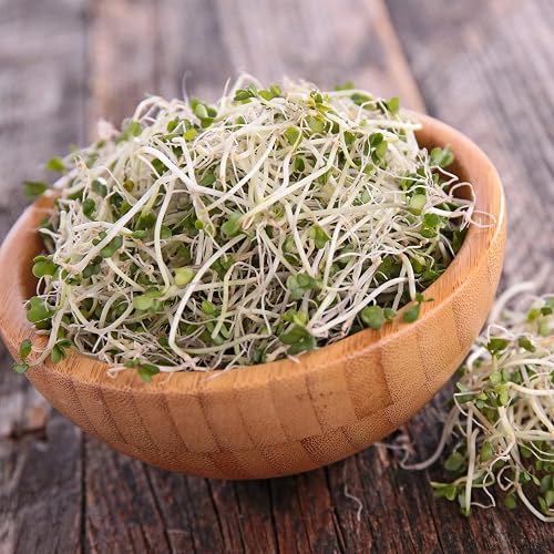 Protein Powerhouse Sprouting Seed Mix: 8 Oz - Organic, Non-GMO - Sprouting Sprouts, Food Storage. High Protien Sprouts - Pea, Mung, Green Pea, Adzuki : Vegetable Plants