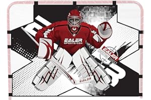 EALER Hockey Goal with Shooting Targets –54"×44" Portable Street & Ice Goal, Heavy-Duty 1″ Steel Frame, 5 Target Holes, Tear-