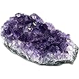 CrystalAge Amethyst Cluster - Medium