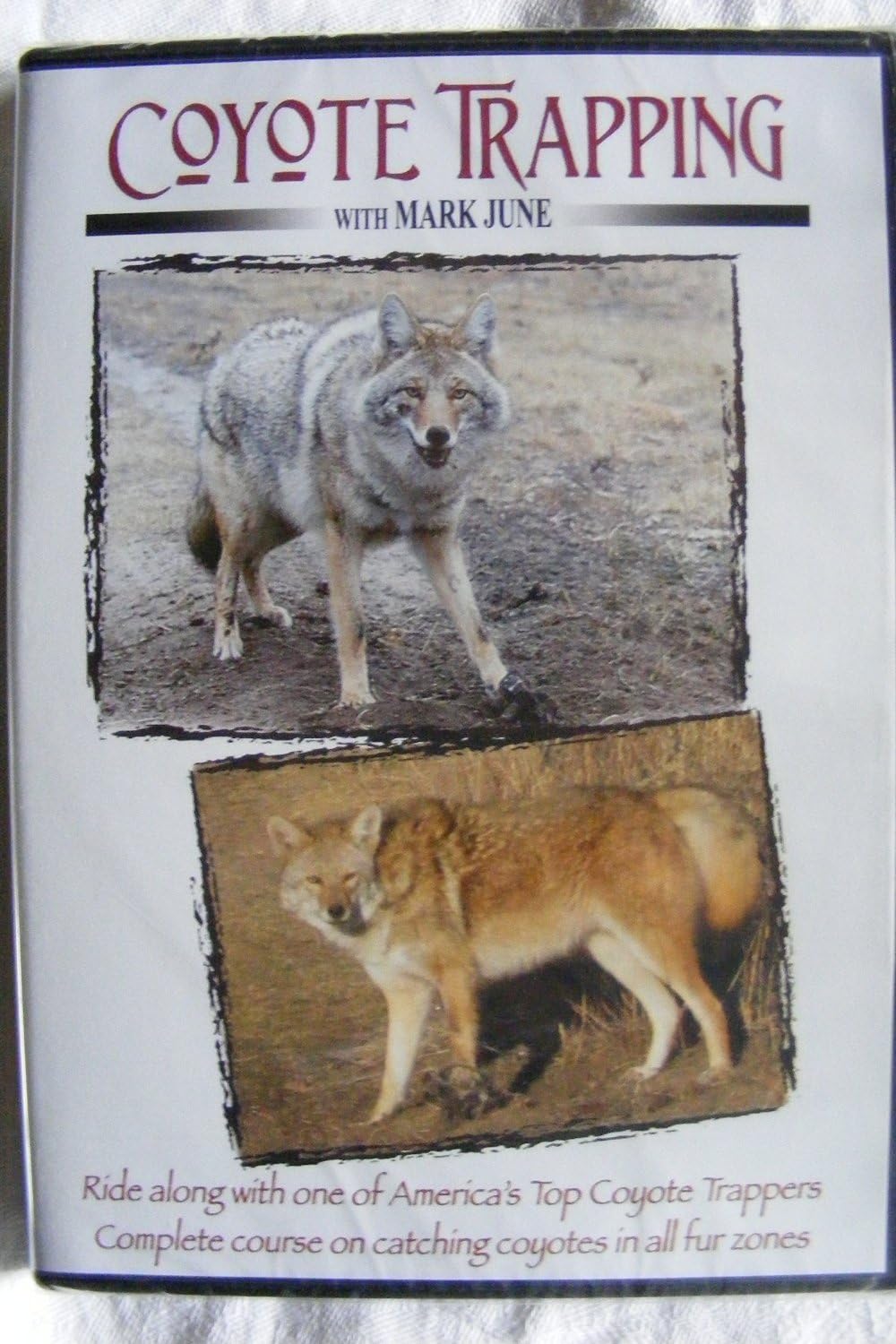 Coyote Trapping with Mark June DVD
