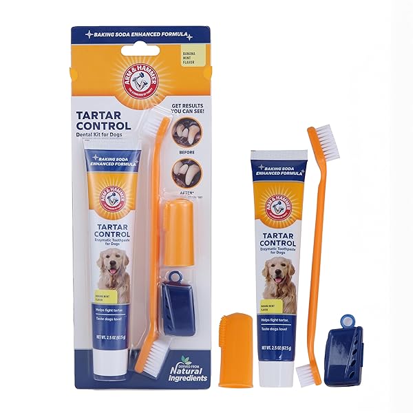 ARM & HAMMER FOR PETS TARTAR CONTROL KIT FOR DOGS CONTAINS TOOTHPASTE, TOOTHBRUSH & FINGERBRUSH REDUCES PLAQUE & TARTAR BUILDUP, 3-PIECE KIT, BANANA MINT FLAVOR (PACK OF 1)