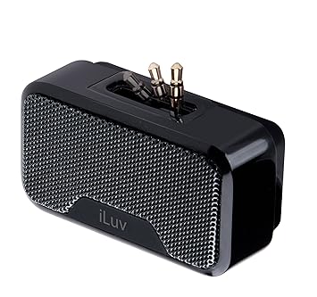 portable amplified speakers