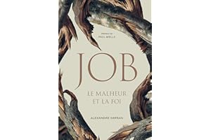Job : le malheur et la foi (French Edition)