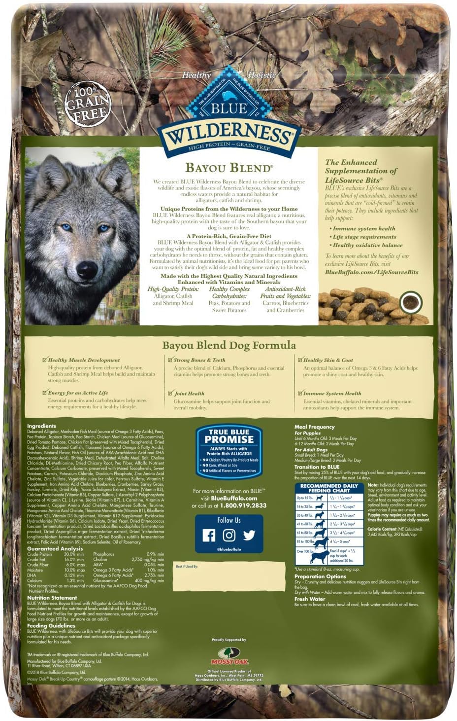 blue wilderness alligator