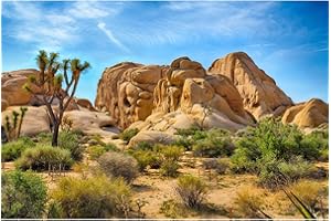 ZATIASMILLER Reptile Habitat Background Boulders and Joshua Trees Terrarium Background Blue Sky Desert Gobi Plants Style Terrarium Background Natural Desert Landscape Tank Background Decor Vinyl 24x12in