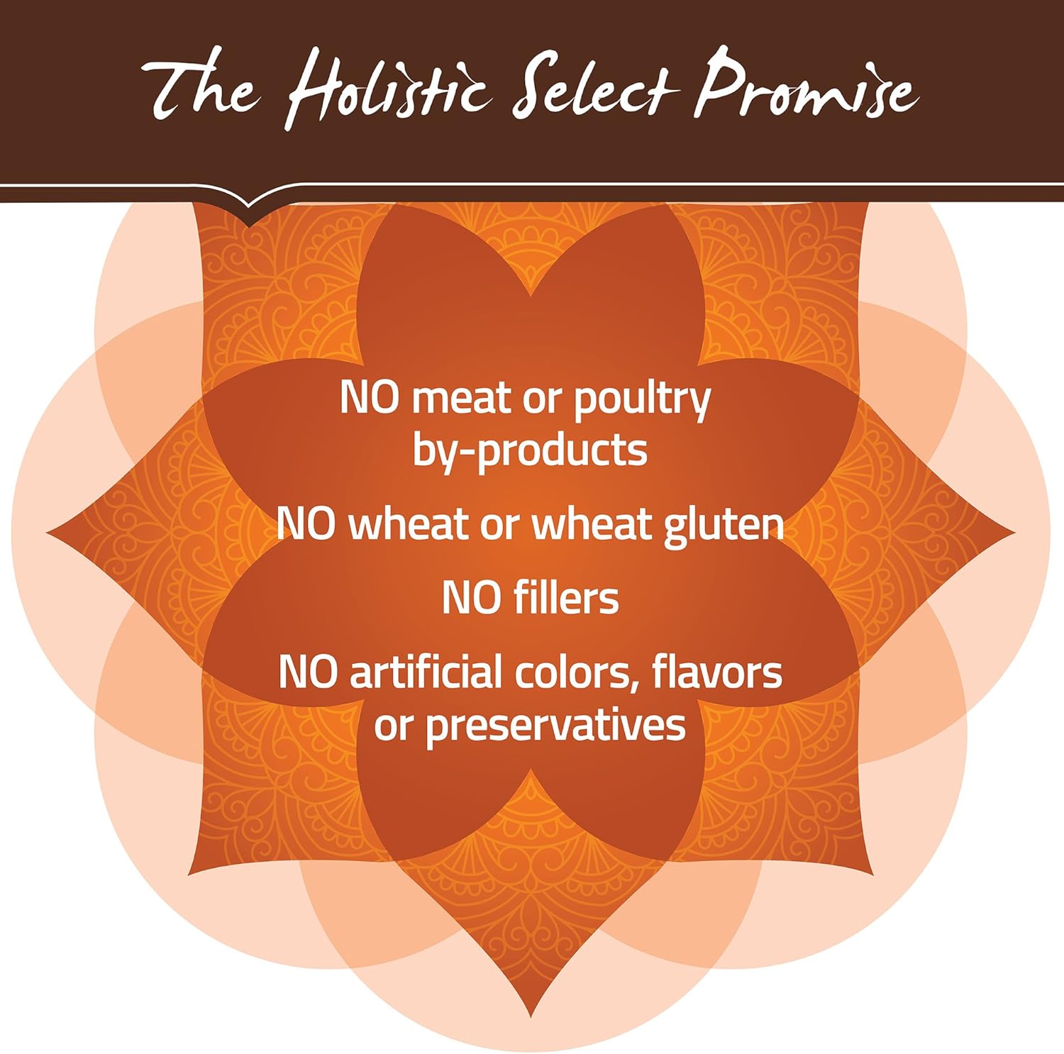 holistic select weight management