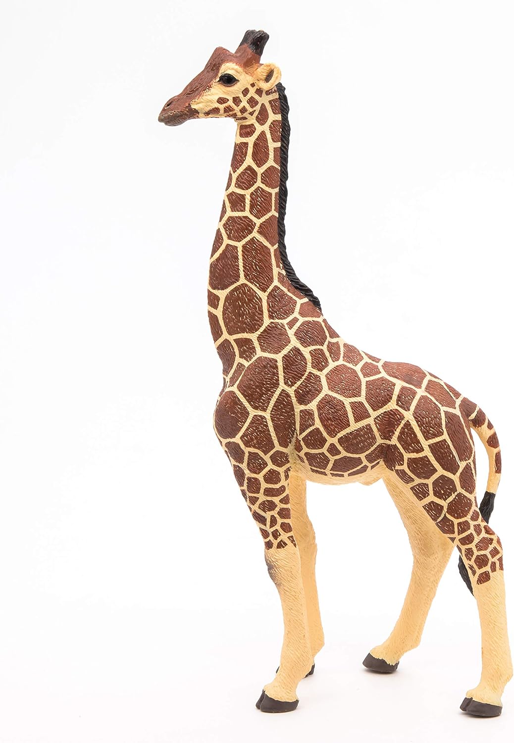 crufts 2019 hound day