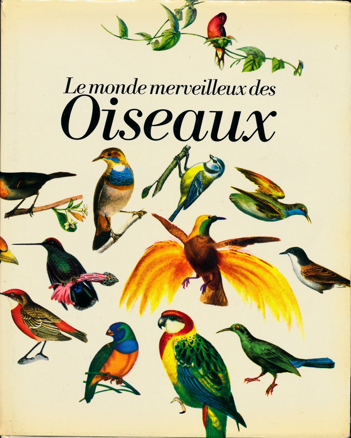 Amazonfr Le Monde Merveilleux Des Oiseaux Gravures De - 