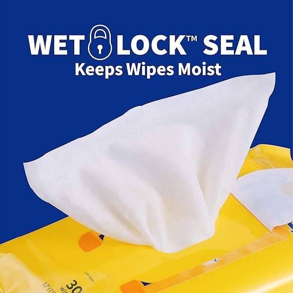 WET ONES FOR PETS DEODORIZING MULTI-PURPOSE DOG WIPES WITH BAKING SODA DOG DEODORIZING WIPES FOR ALL DOGS IN TROPICAL SPLASH SCENT,WET ONES WIPES WITH WET LOCK SEAL POUCH DOG WIPES(PACK OF 1,30 COUNT)