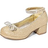 DREAM PAIRS Girls Dress Shoes Platform Chunky Heel Ankle Strap Princess Flats Flower Party Wedding Pump for Little Big Kid