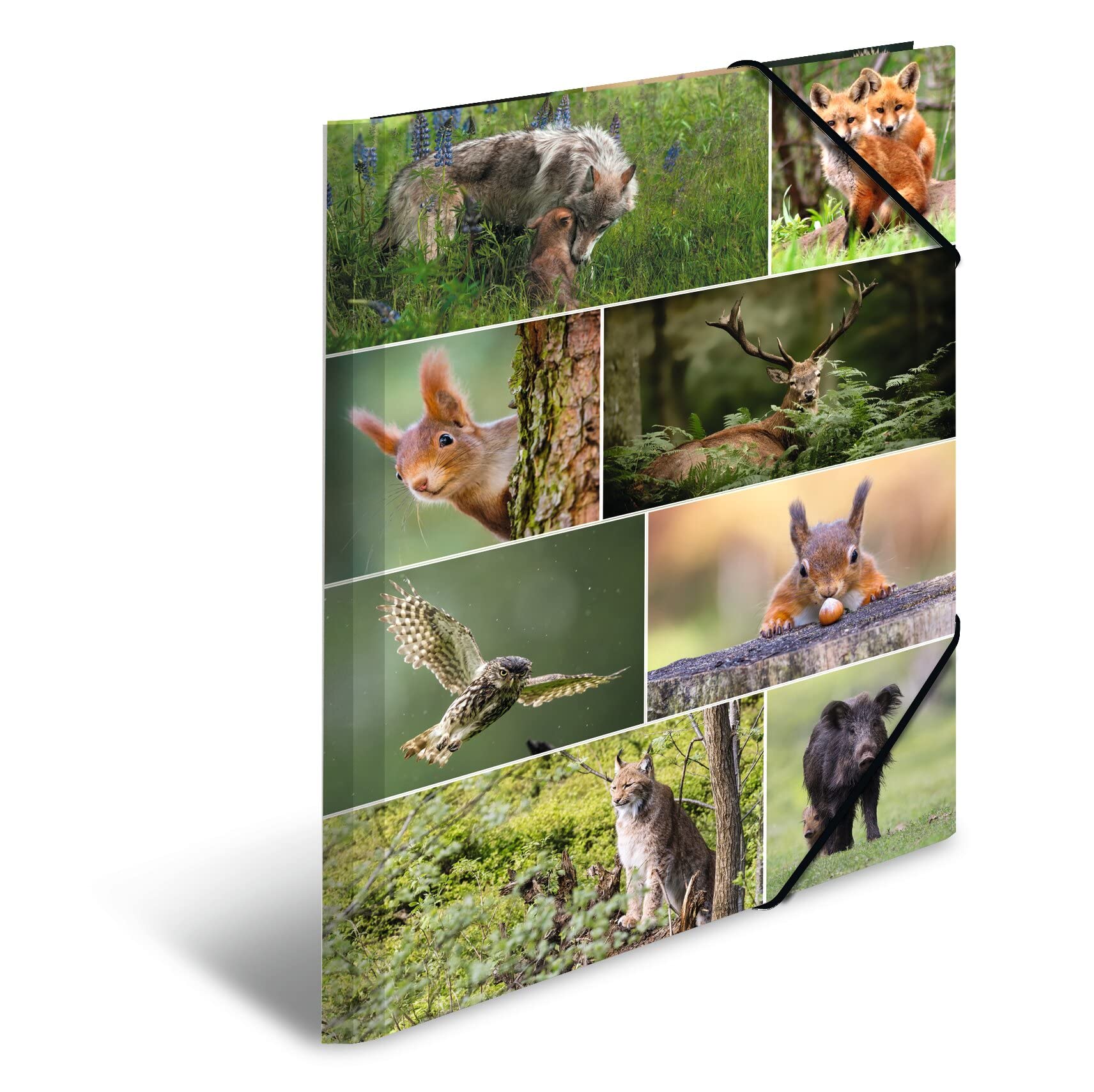 HERMA 19451 Portfolio Folder DIN A3 Animal Worlds Forest Animals Set of 3 Sturdy Cardboard Organiser Folder with Full Inner Print and Elastic Band, Document Folder for Children, Boys and Girls