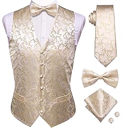 Hi-Tie Mens Suit Vest Bowtie Set Ties for Men V