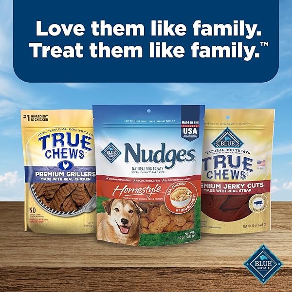 BLUE BUFFALO NUDGES HOMESTYLE NATURAL DOG TREATS MADE WITH REAL CHICKEN, MADE IN THE USA, CHICKEN, 10-OZ BAG