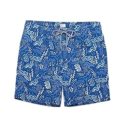 Biwisy Men's Swim Shorts Quick Dry Mesh Lining