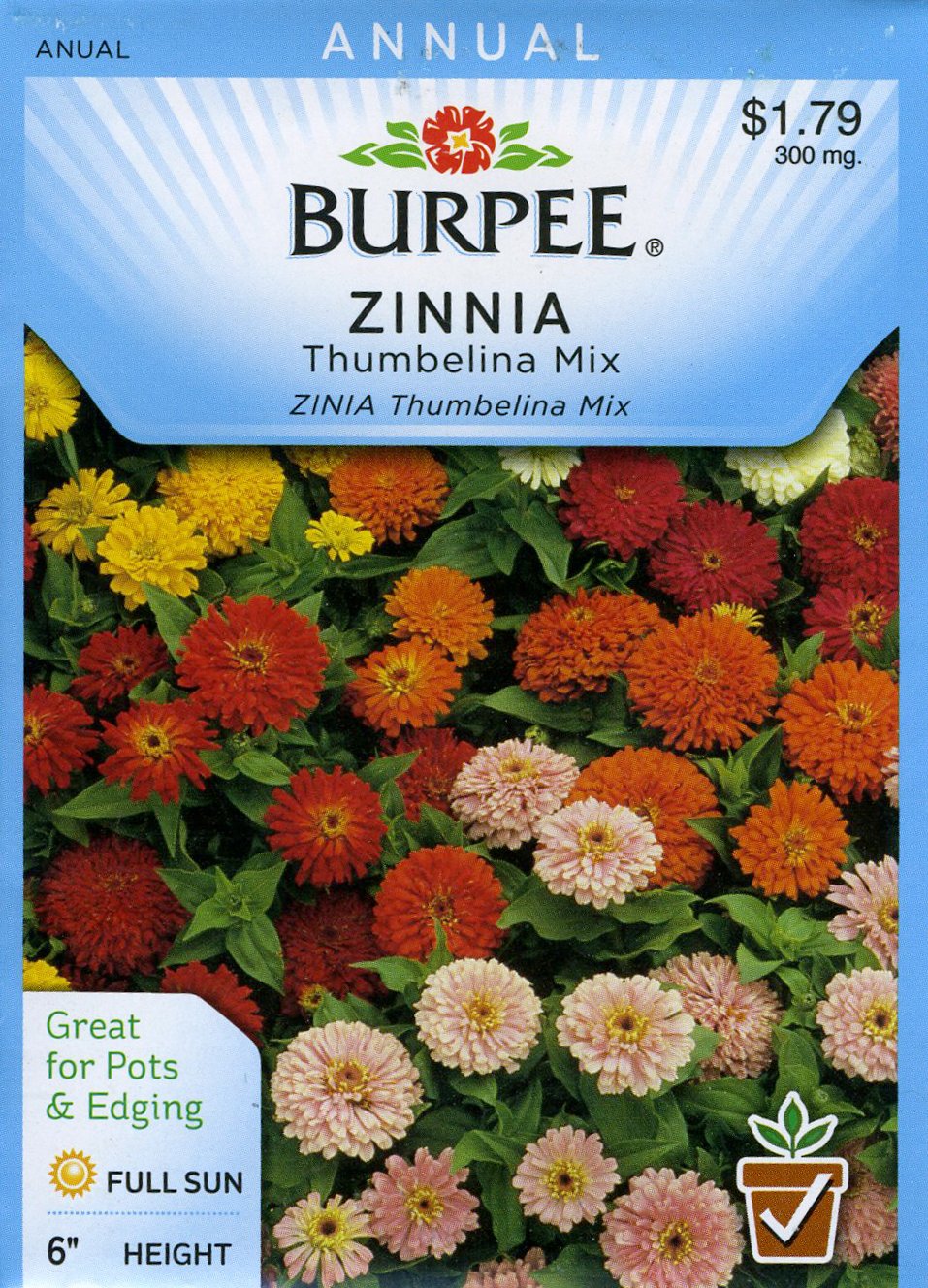 Burpee 44651 Zinnia Thumbelina Mix Seed Packet Amazon.co.uk Garden