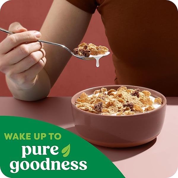 KASHI BREAKFAST CEREAL, ORGANIC, WHOLE GRAIN, COCOA CLUSTERS, 17.2OZ BOX (1 BOX)