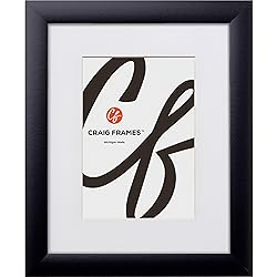Craig Frames 20x27 Picture Frame Matted to 16x24