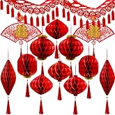 Winlyn Chinese Lunar New Year Party Decorations Good Luck Garlands Red Paper Lanterns with Tassels Lucky Fu Ornaments for Asian Vietnamese Chinese TET 2026 Year of the Horse Home Wedding Holiday Decor