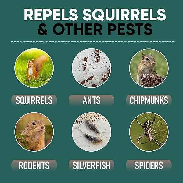 JL RODENT BLOCK SQUIRREL REPELLENT POUCH 6-PACK – POWERFUL AGAINST MICE, RACOONS, CHIPMUNKS, SNAKES, MOSQUITOS, ANTS. ALL NATURAL INGREDIENTS, REFILLABLE MESH BAG & CARABINER FOR HANGING