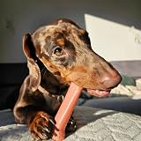 Nylabone Dura Chew Extreme Dog Chews Two Bones Bacon Chicken Medium 16 kg view 2