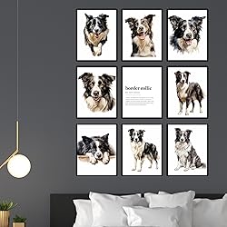 BigWig Prints Border Collie Wall Art - Border