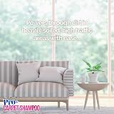 Pro-Kleen Pro+ Carpet Shampoo and Upholstery Cleaning Solution 5L Spring Blossom view 3
