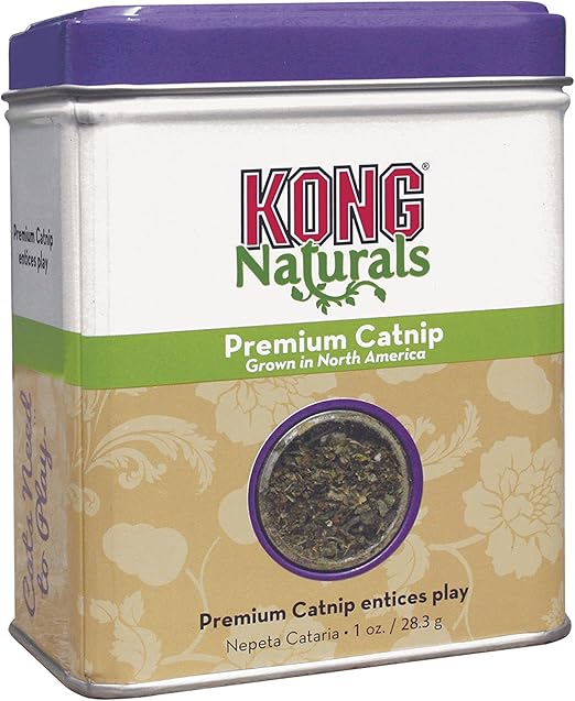 kong naturals catnip