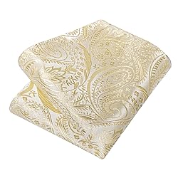 DiBanGu Silk Paisley Ties for Men Woven Necktie and