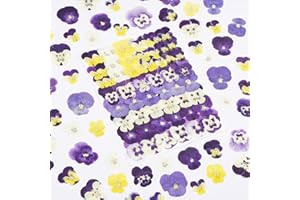 60Pcs Pansy Dried Pressed Flowers for Crafts,Xinxinran Dry Flowers Kit for Cake Decorating,Resin Molds,Bookmark,Jewelry Molds,Candle Making Supplies,Soap,Frame(8 Color)
