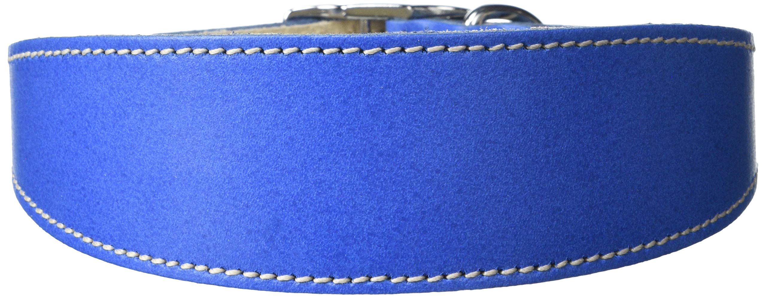BBD Pet Products Lurcher Collar, One Size, 3/4 x 16 to 18-Inch, Royal