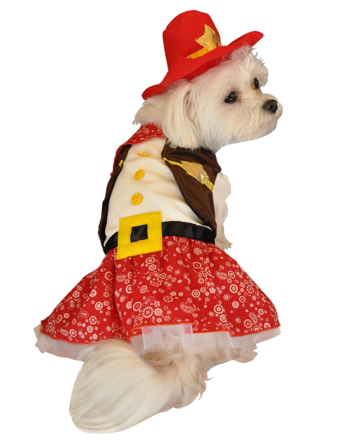 Anit Accessories Cowgirl Dog Costume, 20Inch Pet