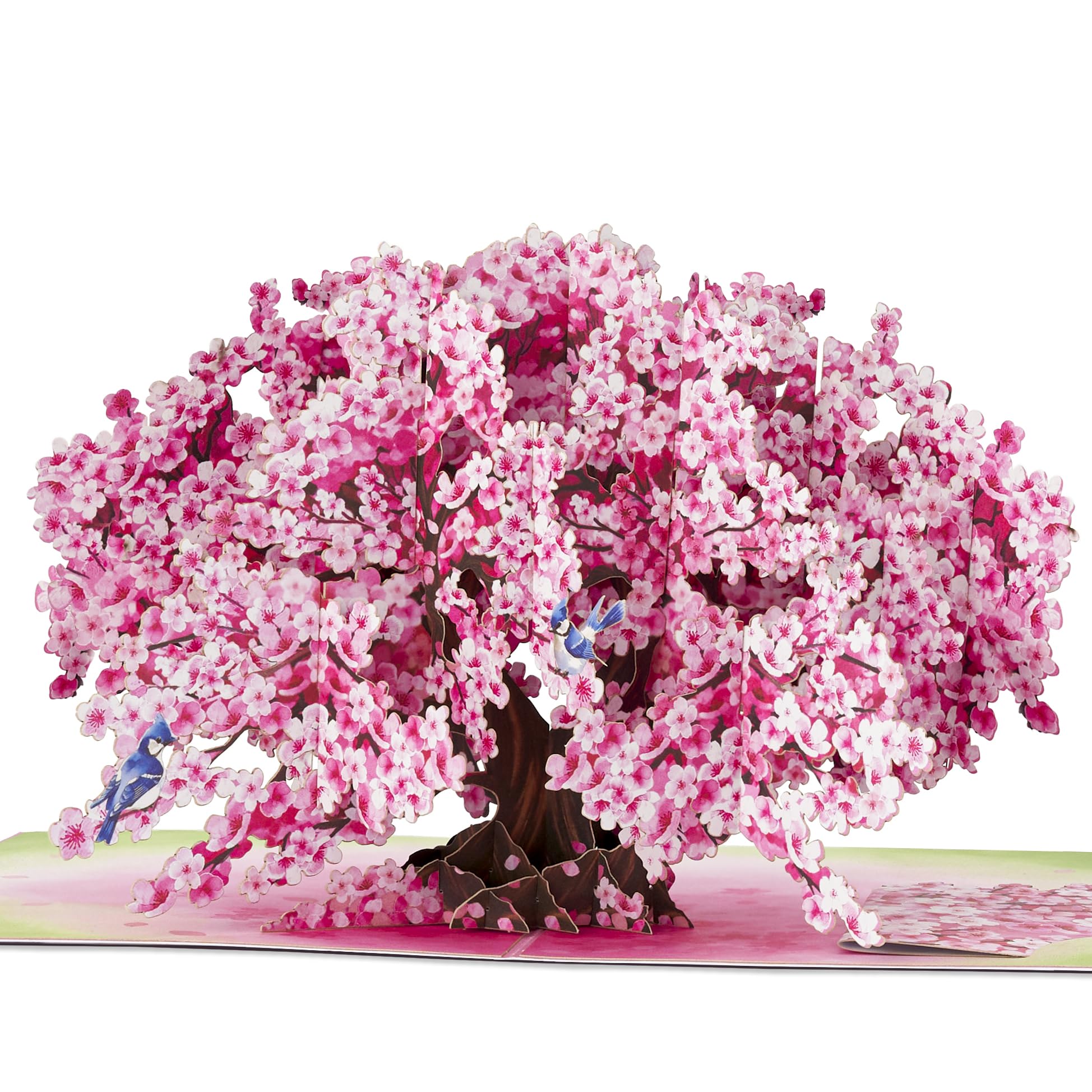 Photo 1 of POPWOW Bonsai Cherry Pop Up Cards, Blue Bird, 3D Greeting Cards, Gift for Birthday, Mothers Day, Anniversary, Valentines Day, Mom, Wife, Her, Girlfriend, 5x7 - Includes Envelope And Message Note