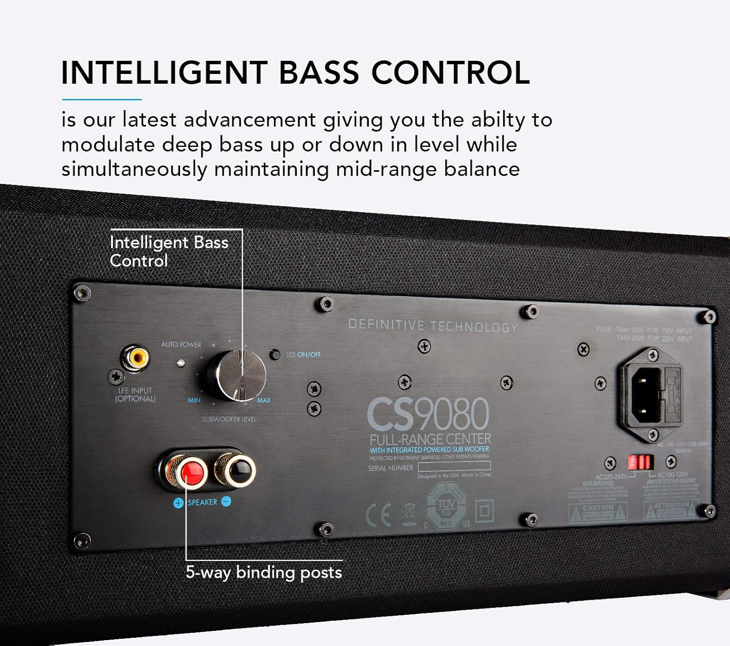 definitive technology subwoofer fuse