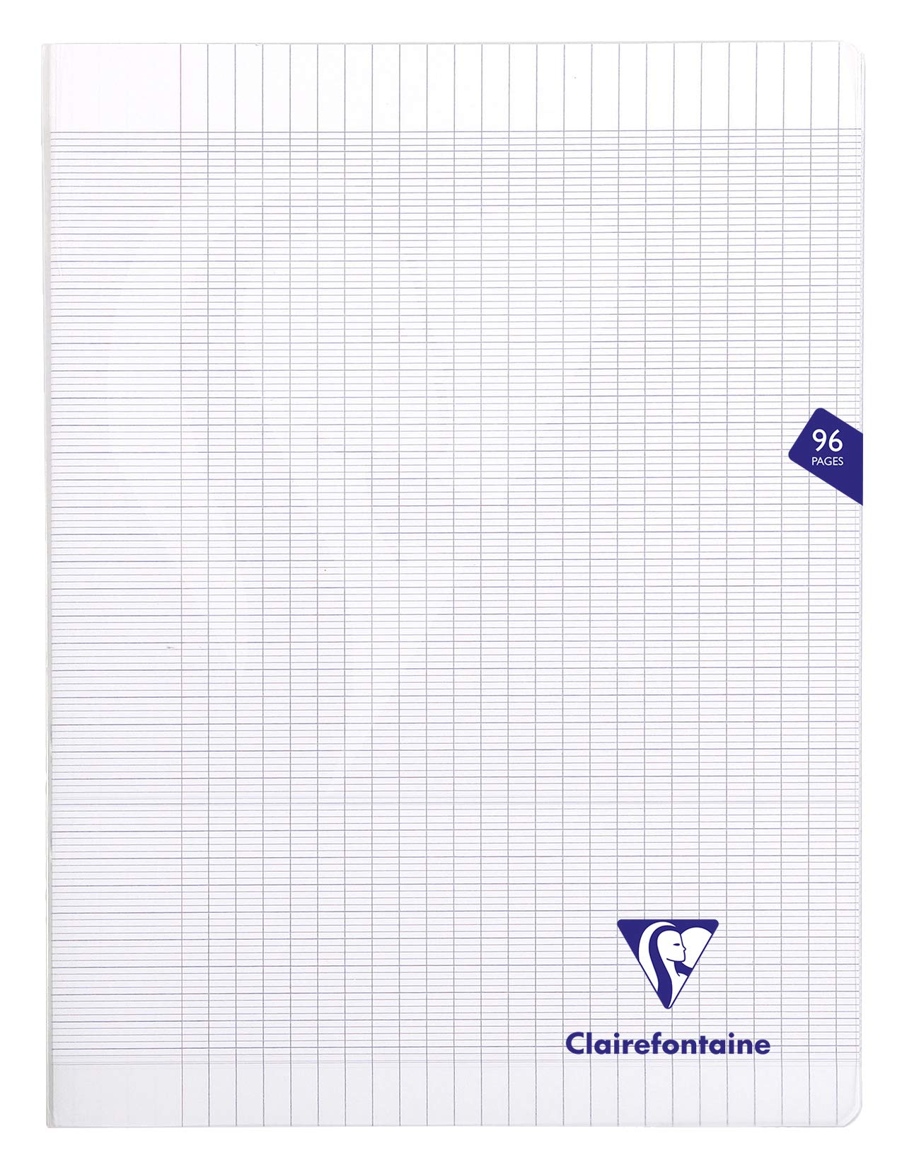 Clairefontaine 393361C - One Pack of 10 Mimesys Colourless Stapled Notebooks - Dimensions: 24x32 cm - 96 Seyes Ruled Pages - White Paper 90 g - Polypro Cover