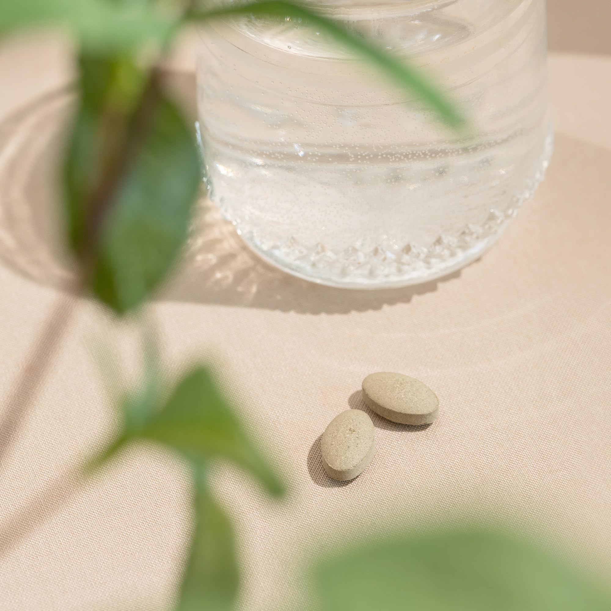 Banyan Botanicals Tranquil Mind – Organic Supplement with Guduchi, Gotu Kola & Skullcap – Supports Occasional Anxiousness & Promotes a Sense of Calm * – 90 Tablets – Non-GMO Sustainably Sourced Vegan